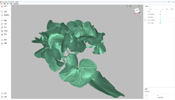 3D Scanners for Jewelry